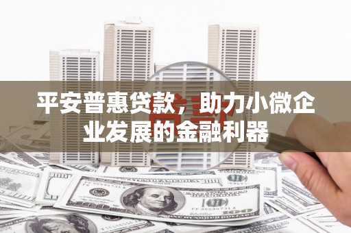 长滨平安普惠贷款，助力小微企业发展的金融利器