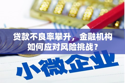 清涧贷款不良率攀升，金融机构如何应对风险挑战？