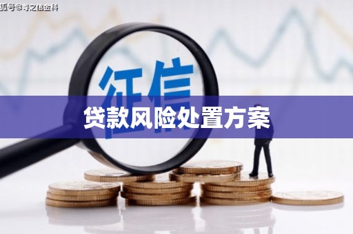石龙贷款风险处置方案
