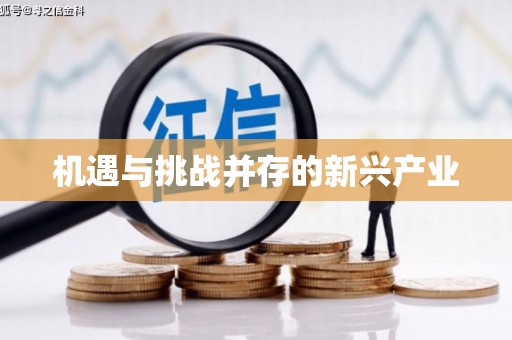 永胜机遇与挑战并存的新兴产业