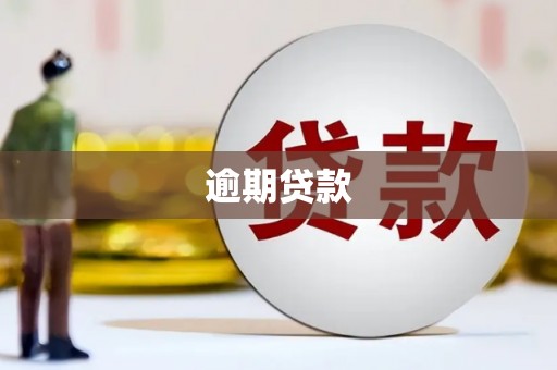 大内逾期贷款