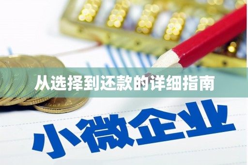 称多从选择到还款的详细指南