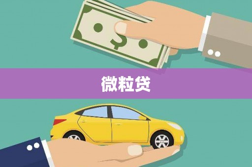 察雅微粒贷