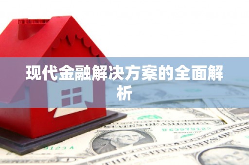 卢氏现代金融解决方案的全面解析