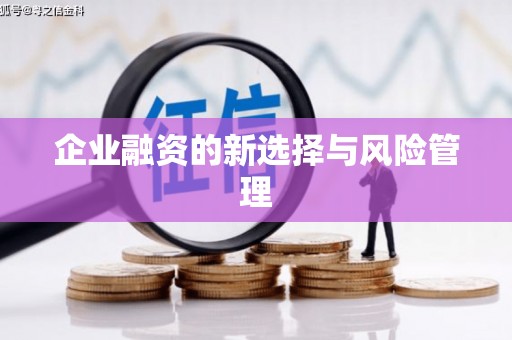 秦皇岛企业融资的新选择与风险管理