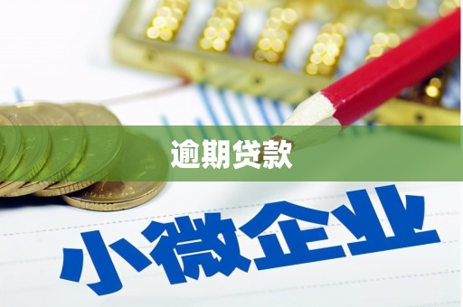 忠县逾期贷款