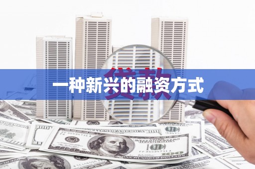 拉孜一种新兴的融资方式