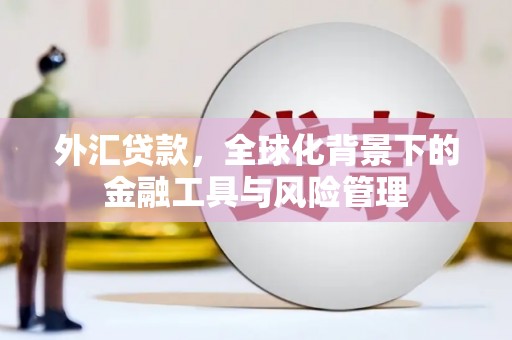 吴堡外汇贷款，全球化背景下的金融工具与风险管理