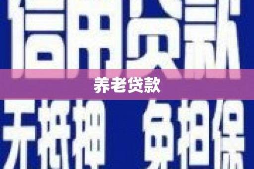梨树养老贷款