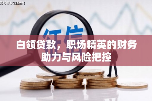 狮潭白领贷款,职场精英的财务助力与风险把控 狮潭白领贷款,职场精英的财务助力与风险把控
